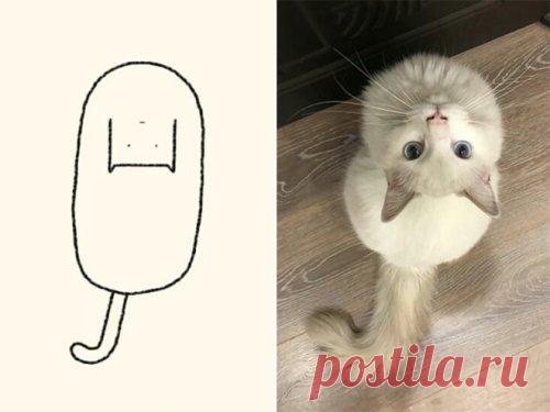 Точные рисунки кошек Кошки бывают разных размеров и формы. Стараясь задокументировать их всех, Instagram-аккаунт @DailyPurrr создаёт «глупые рисунки кошек на ежедневной основе». И эти кошачьи портреты ─ идеальное сочетание простоты и юмора.