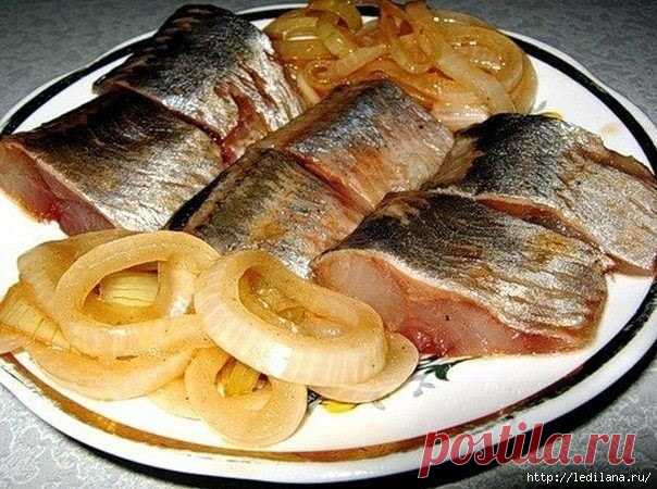 Отличный способ засолки селедки