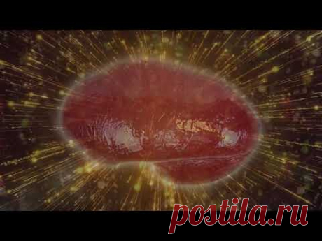 Абсолютно Здоровая Селезёнка, Медитация Здоровая Селезёнка