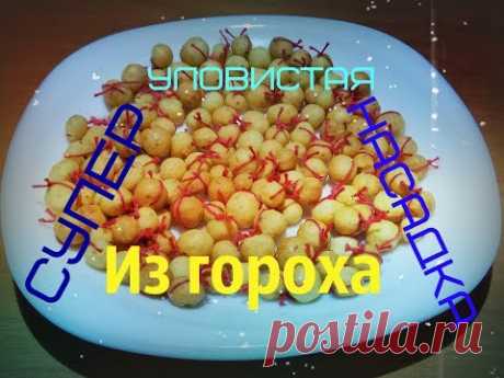 Катыши из гороха. Супер уловистая насадка из гороха на карася и карпа!