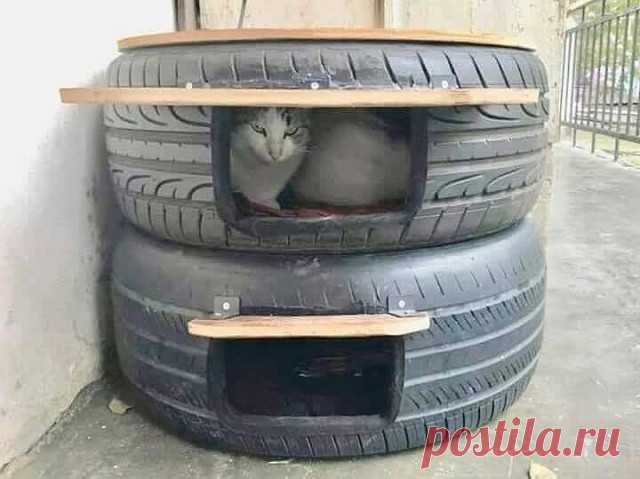 Комментарии к теме