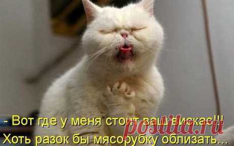 Мой Мир@Mail.Ru