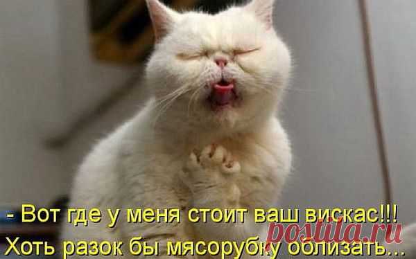 Мой Мир@Mail.Ru