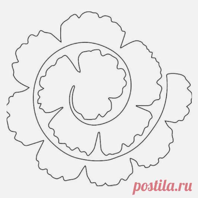 (3) Одноклассники