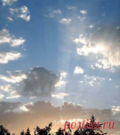 Фотопост: первый день лета | Selfhacker.ru