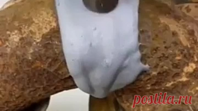 Бери и делай