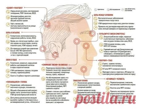 Виды головной боли и их лечение
Не потеряйте эту шпаргалку