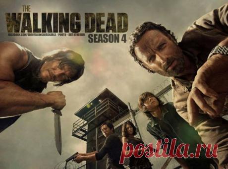 Сколько серий и сезонов в сериале &quot;Ходячие мертвецы&quot;?