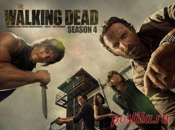 Сколько серий и сезонов в сериале "Ходячие мертвецы"?