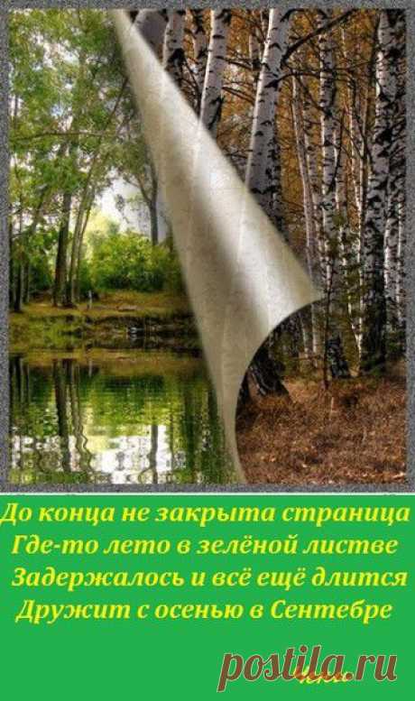 Продолжение лета | О сокровенном и прекрасном | Группы Мой Мир