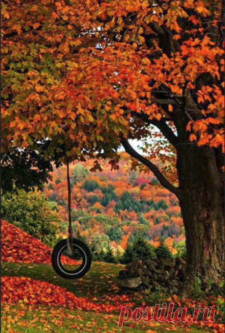 Фотографии Я люблю ✿ ЦВЕТЫ ✿ | I ♥ Flowers – 210 альбомов