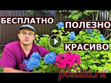 Как БЕСПЛАТНО сделать красивый и полезный сад? Какие растения можно черенковать? Помощь каналу, карта Сбербанка - 4276 3800 7513 3459 Роман Андреевич Я. Канал на Дзене - Бусти - На канале: Наталья ...