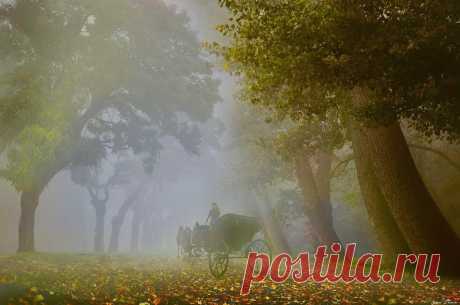 Невероятная красота! Фотохудожник Игорь Зенин