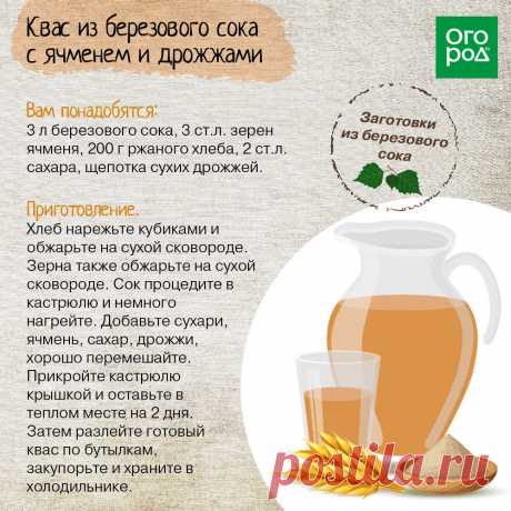 Квас из березового сока с ячменем и дрожжами