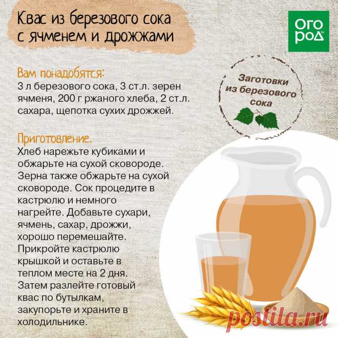 Квас из березового сока с ячменем и дрожжами