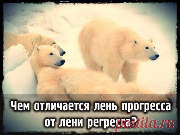 Чем отличается лень прогресса от лени регресса? / Понимание бизнеса