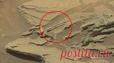 Снимок парящей на Марсе ложки всколыхнул ученых всего мира