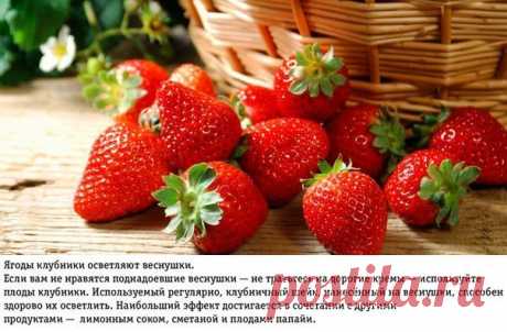 Блог о здоровье | 10 поразительных свойств клубники, о которых вы не имели понятия