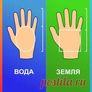 Что форма ладони говорит о вашей личности - МирТесен