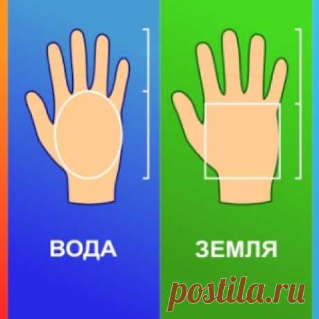 Что форма ладони говорит о вашей личности - МирТесен