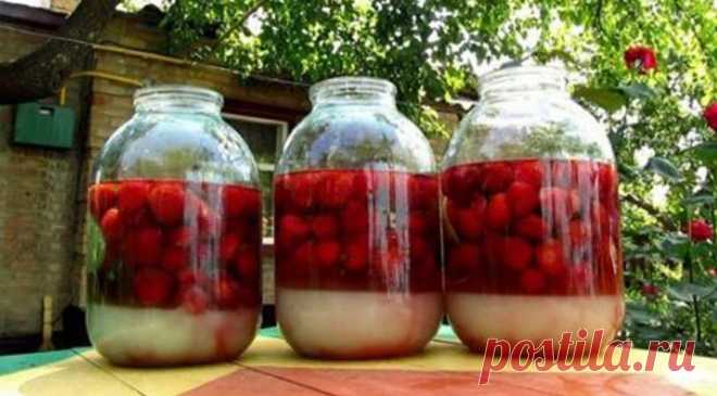 Сладкая и вкусная домашняя ягодная наливка «4х4»: пошаговый рецепт.  


 Сладкая и вкусная ягодная наливка, вобравшая в себя весь сок, набранный за лето, становится уже не просто алкоголем, а вкуснейшим, изысканным напитком домашнего приготовления. Рецепт наливки у ка…