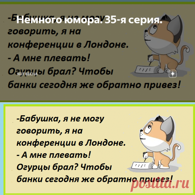 Немного юмора. 35-я серия. | Кот Весна | Яндекс Дзен