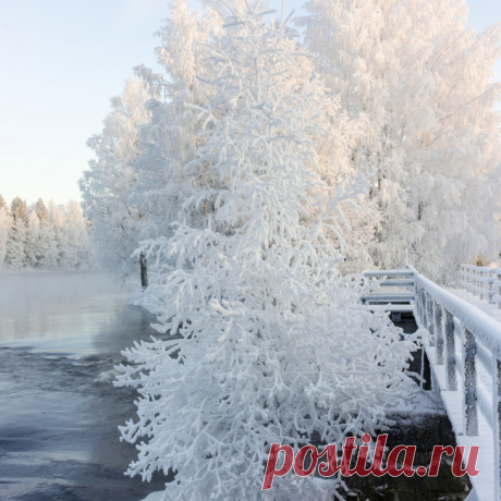белоснежность