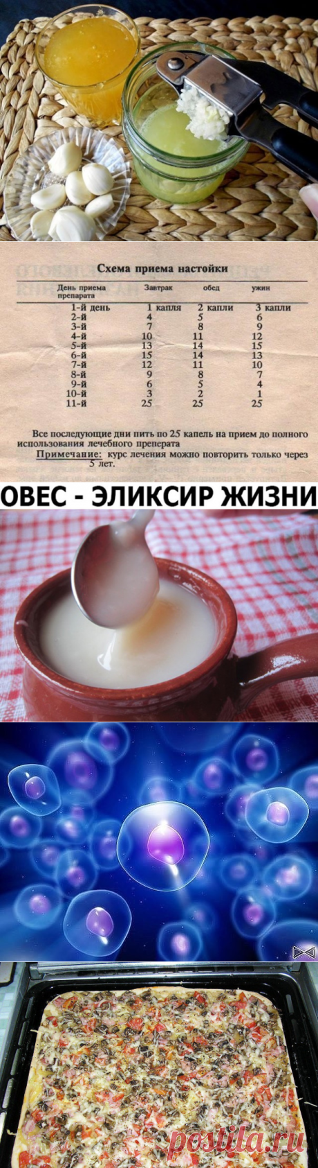 (52) Одноклассники