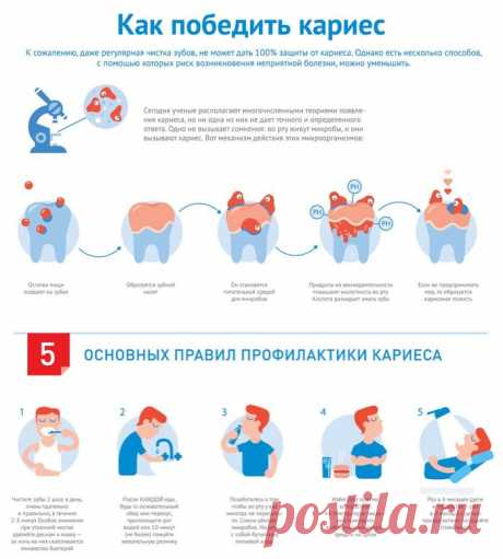 Как победить кариес – эффективная профилактика