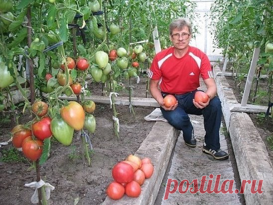 Этот полузабытый 