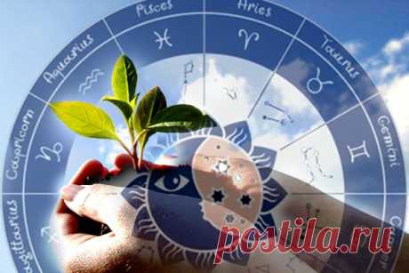 Gardening | Влияние знаков Зодиака на растения 
Влияние знаков Зодиака на растения еще не до конца изучено, но садоводы-огородники все-равно стараются делать важные работы, согласовывая их с определенными знаками Зодиака. Посмотрите специальную таблицу о влиянии знаков Зодиака на растения