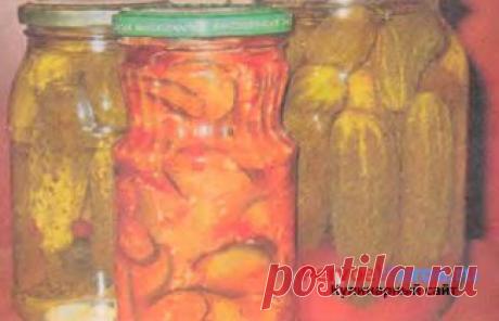 &quot;Тещин язык&quot; рецепт с фото