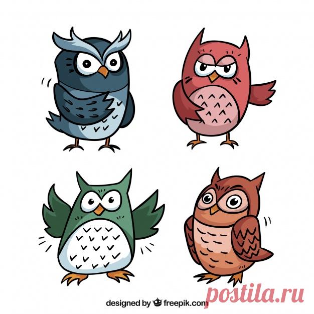 Коллекция мультяшной совы из четырех Более миллиона свободных векторов, PSD, фотографии и бесплатные иконки. Эксклюзивные халявы и все графические ресурсы, которые необходимые для ваших проектов