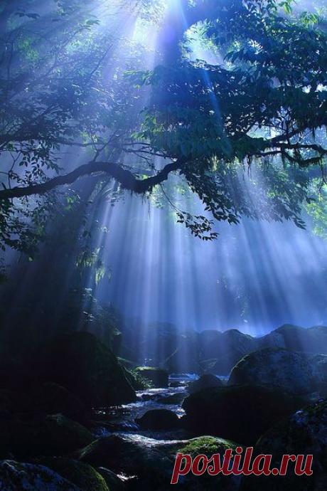 Kikuchi Gorge, Japan | Luz