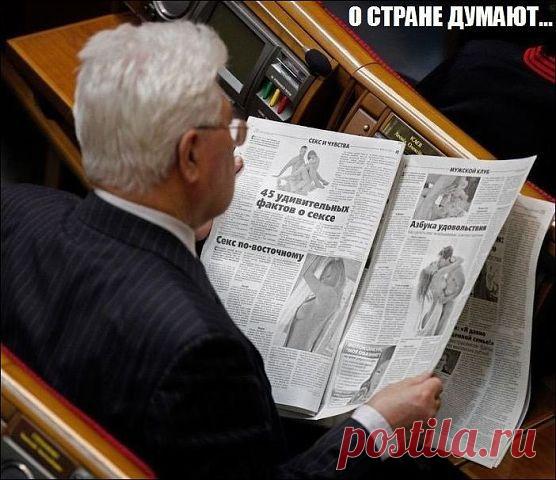 думает о стране