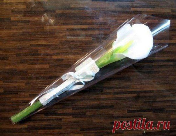 Калла из мыла / Необычные поделки