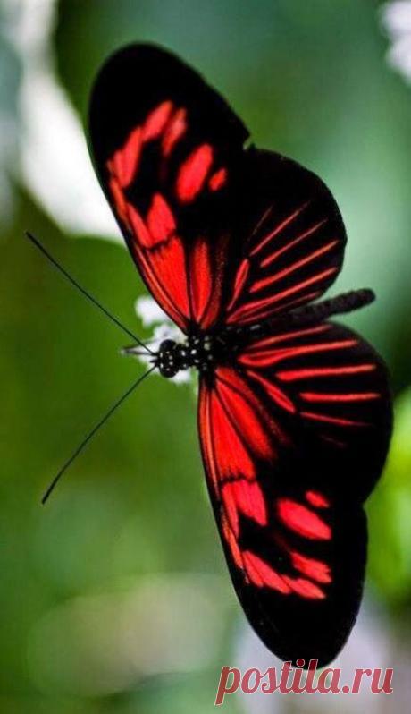 (3) Pinterest • The world’s catalog of ideas