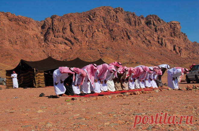 Как кочуют бедуины - Путешествуем вместе
