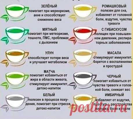 Виды чая и их влияние