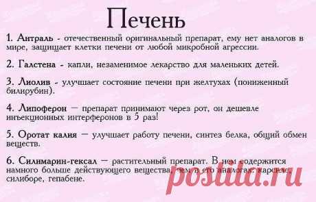 Современная хозяйка