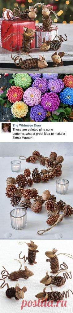 (457) Pinterest