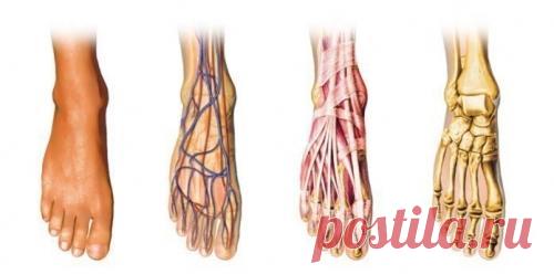 Плохое кровообращение, холодные ноги и руки? Вот то, что вы можете сделать, чтобы решить эту проблему!