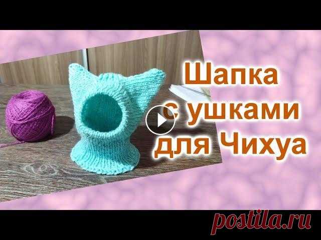 Шапка с ушками для собаки или кошки (418)/Вяжем спицами/МК Шапка с ушками для собаки или кошки. Вяжем спицами своими руками. Мастер класс. Ссылка на мой канал - Меня зовут Любовь. Если Вам интересно всё делать...