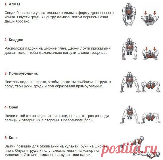 Новости