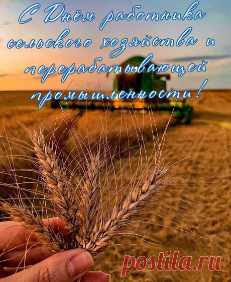 Пускай нивы колосятся,
И живёт пускай село —
Всех с Днём сельского хозяйства
И работников его!