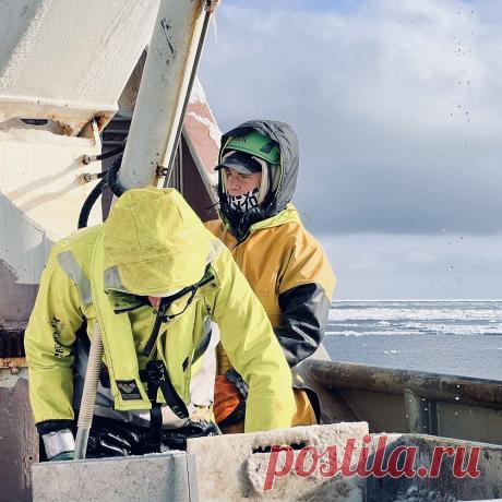 🚢 Онлайн курс и материалы о работе в промысловом флоте Норвегии
💝 От профессионального моряка и дипломированного тралмастера
📚 Полезные уроки 🧠 Инструкции 🚢 Крюинги 📝 Агрегаторы и каталоги