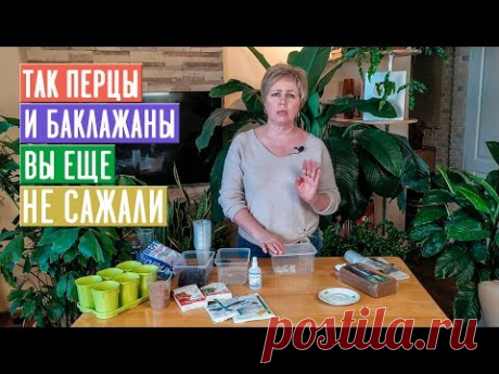 СЕЗОН 2020: ПЕРЦЫ И БАКЛАЖАНЫ сроки посева семян, подготовка грунта, посадка / Садовый гид