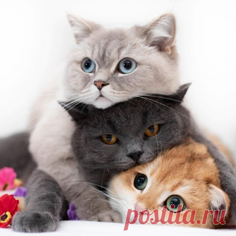 Кoмoчки cчacтья 😍