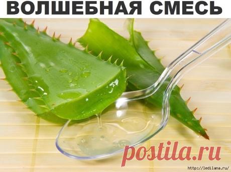 Волшебный рецепт для улучшения зрения от академика Филатова