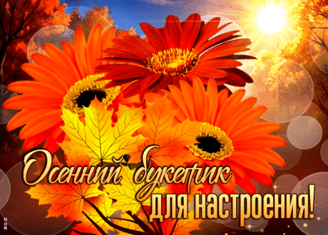 Открытка Осенний букетик для настроения